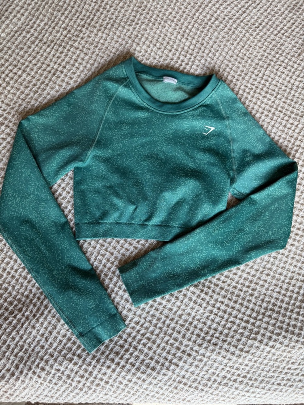 Gymshark ADAPT FLECK SEAMLESS LONG SLEEVE CROP TOP